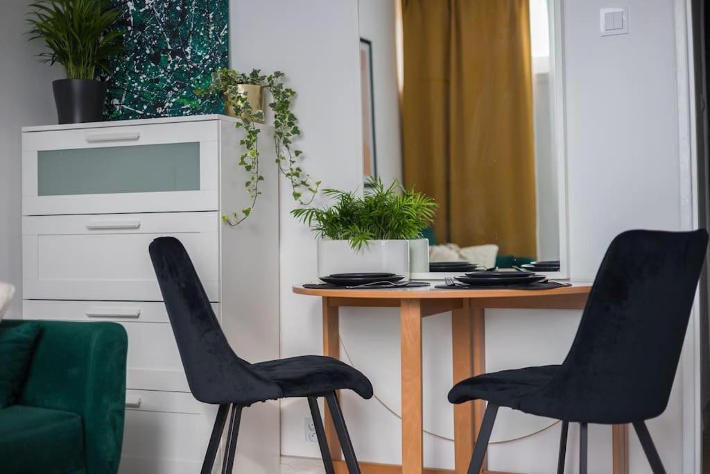 Specious City Center Studio With Park View By Ecru Wwa23 * Warsaw