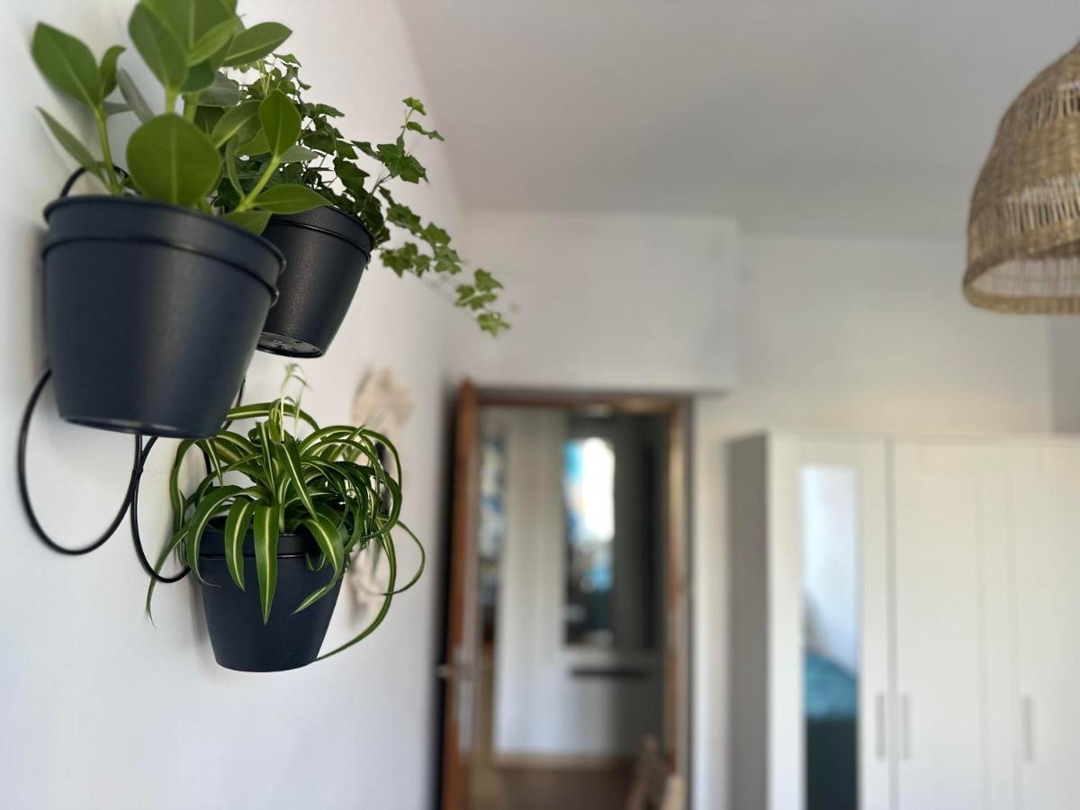 Apartment M&m