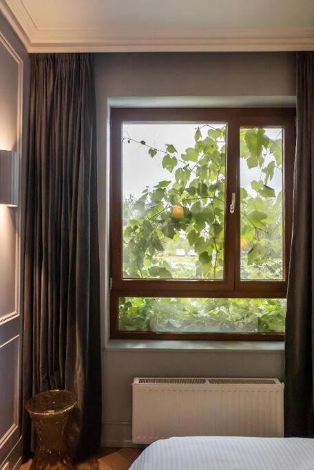Luxury Garden Apartament