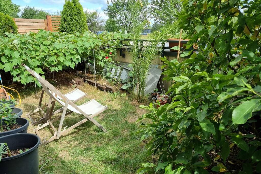 Apartament Luxury Garden *