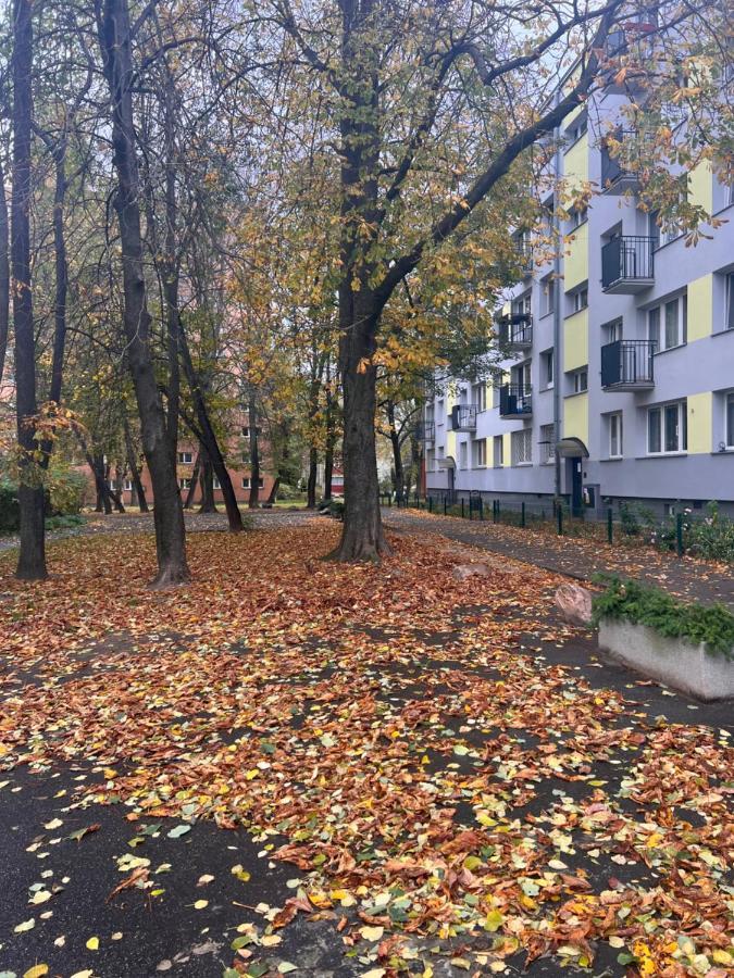 Yellow Airport Galeria Mokotow Netflix Apartament