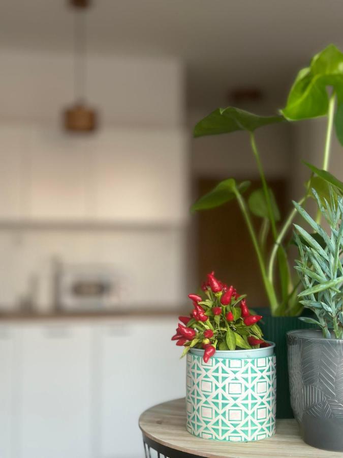 Cosy Okecie Apartment *