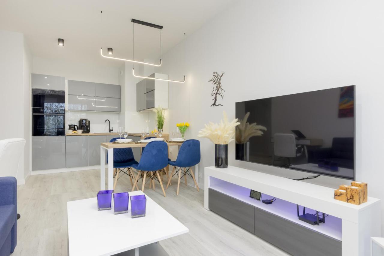 Apartment Dark Blue And Grey With Pastel Bedroom In By Renters