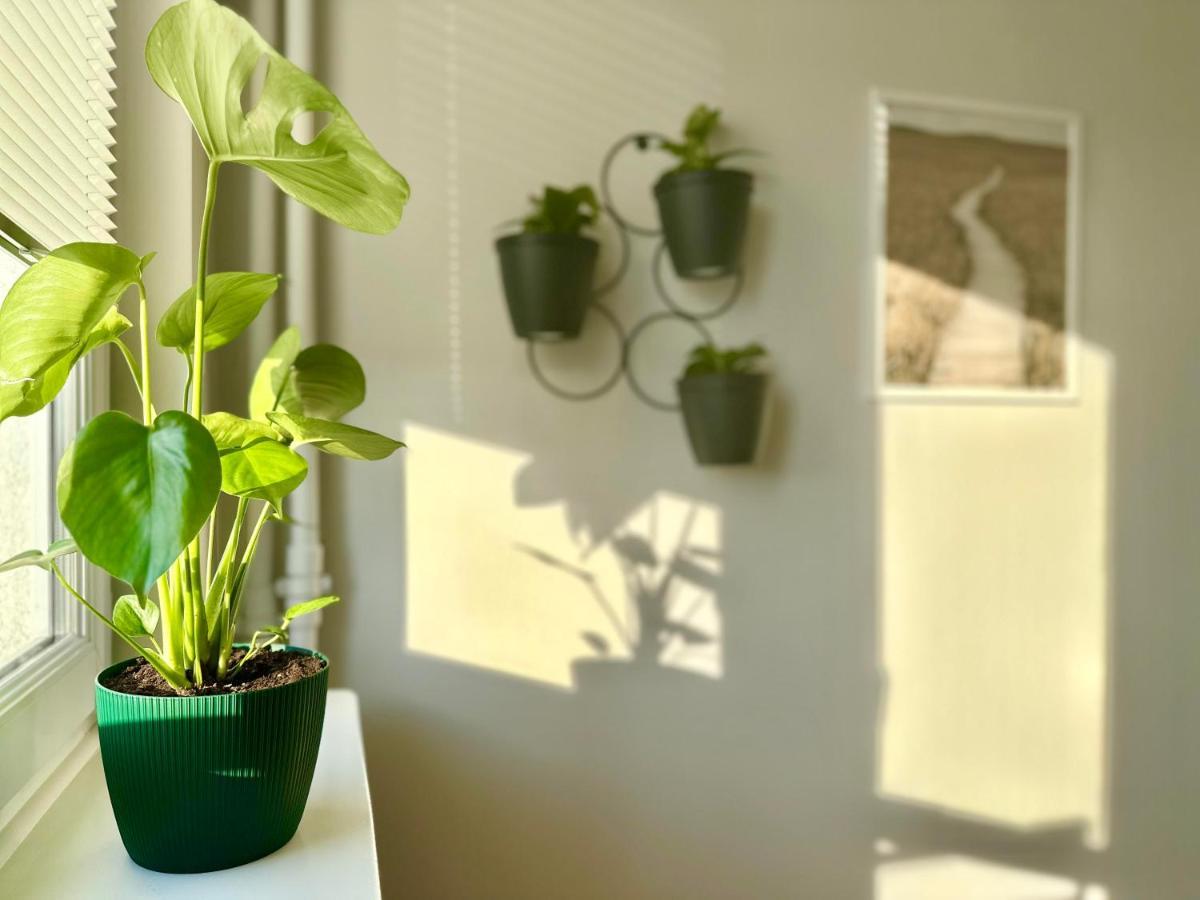 Apartment Eastside