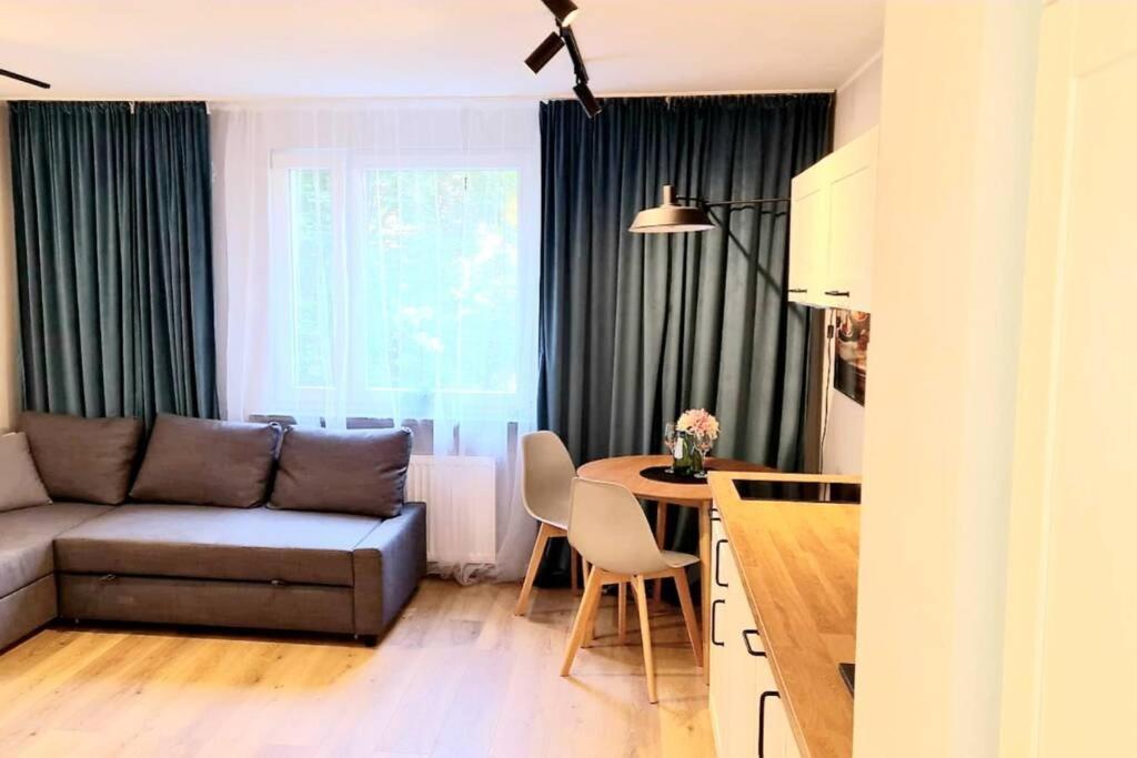 Saska Modern