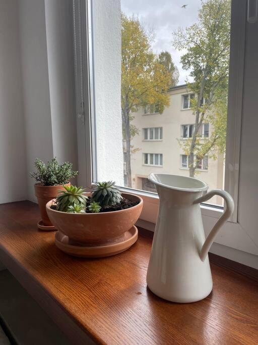 Apartment Cozy, Bright, Comfy Studio Next To The Old Town. *