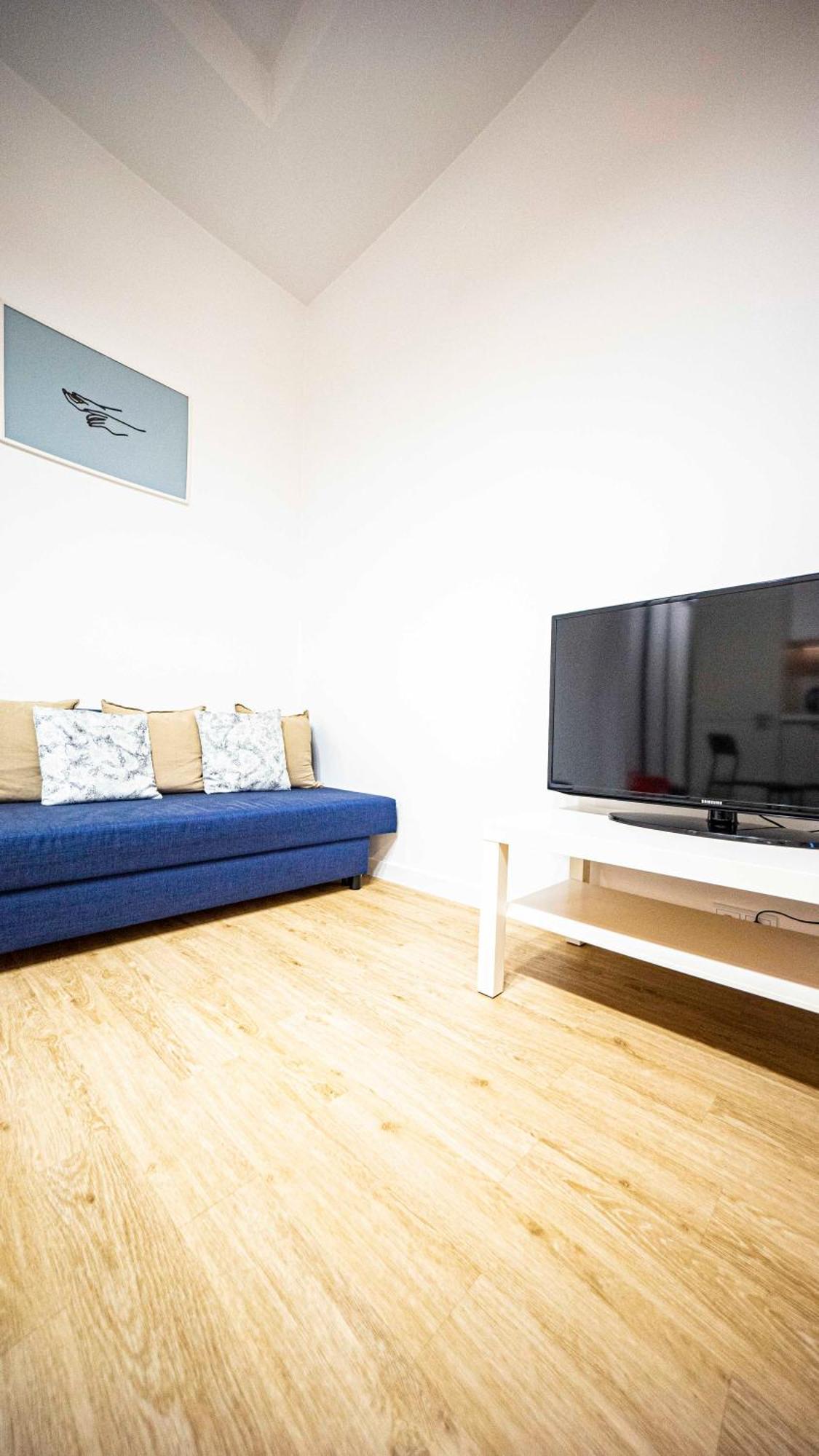 Spacious With 3 Meter Ceilings, Powisle, The Old Town *