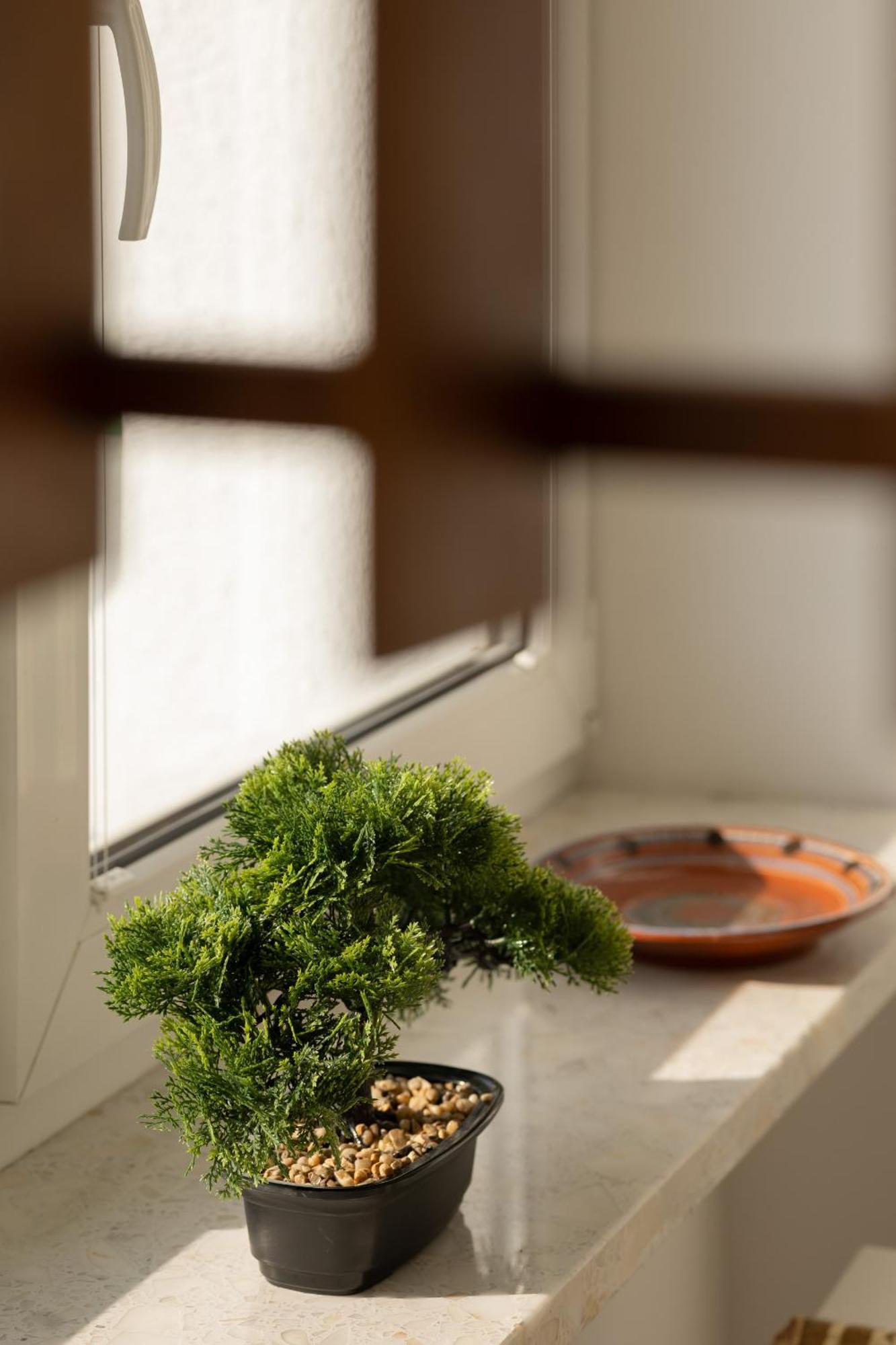 Autumn With Balcony And Two Bedrooms By Renters Apartment *