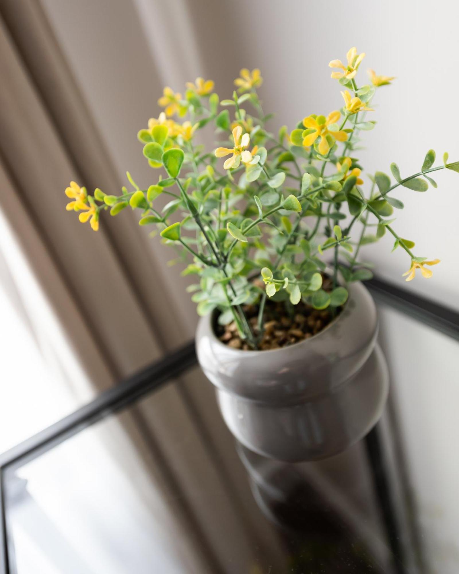 Okecie Apartment *