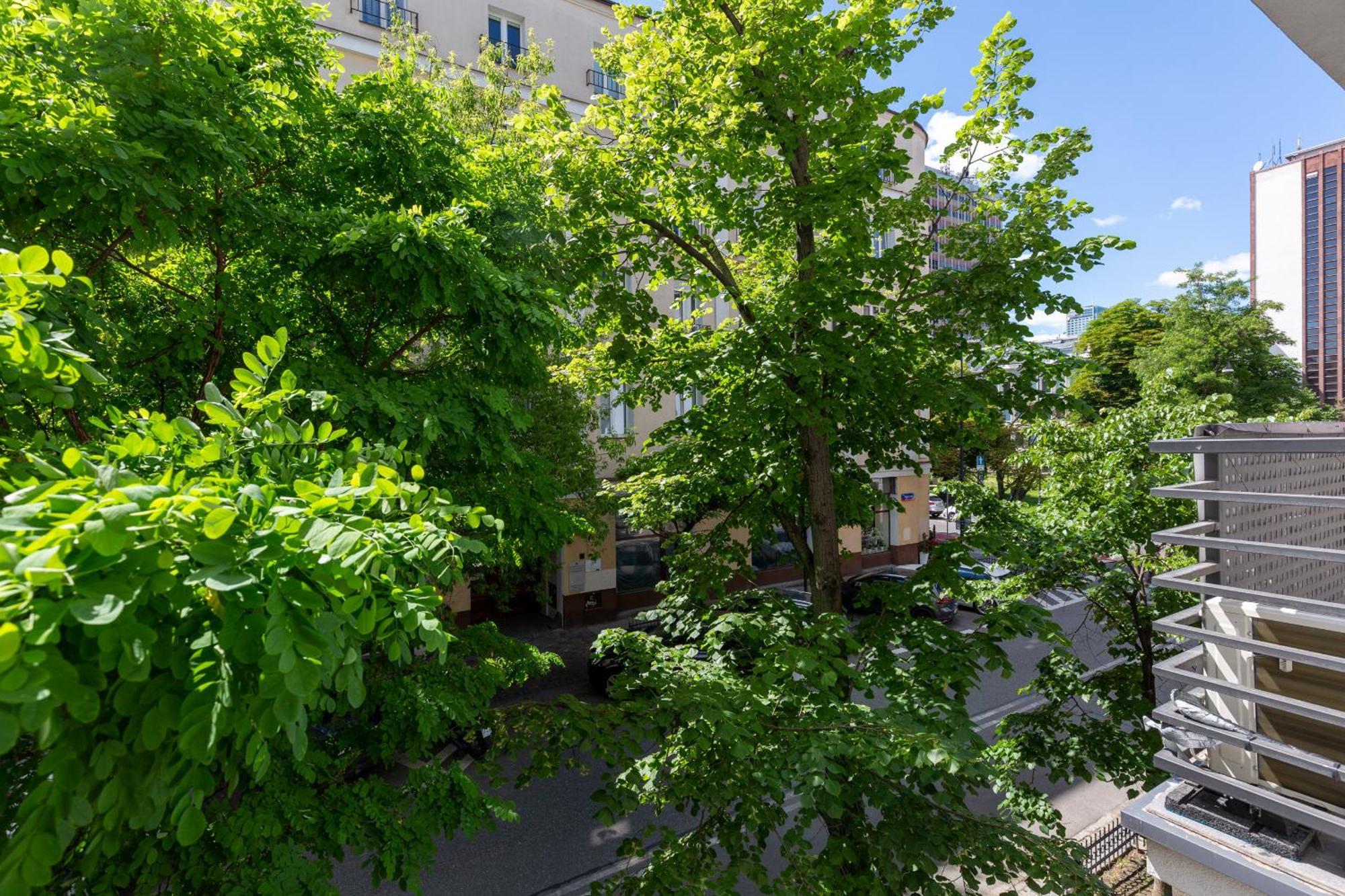 Starlight In By Renters Warsaw