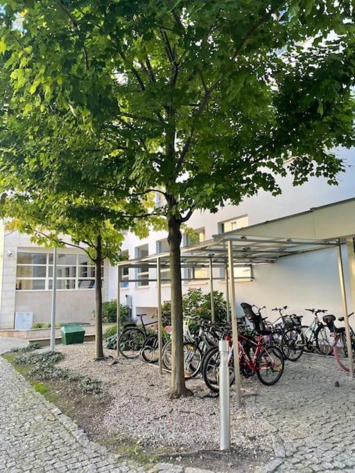 Cozy, Bright Apartment, Garage, Mokotow Apartament Warszawa