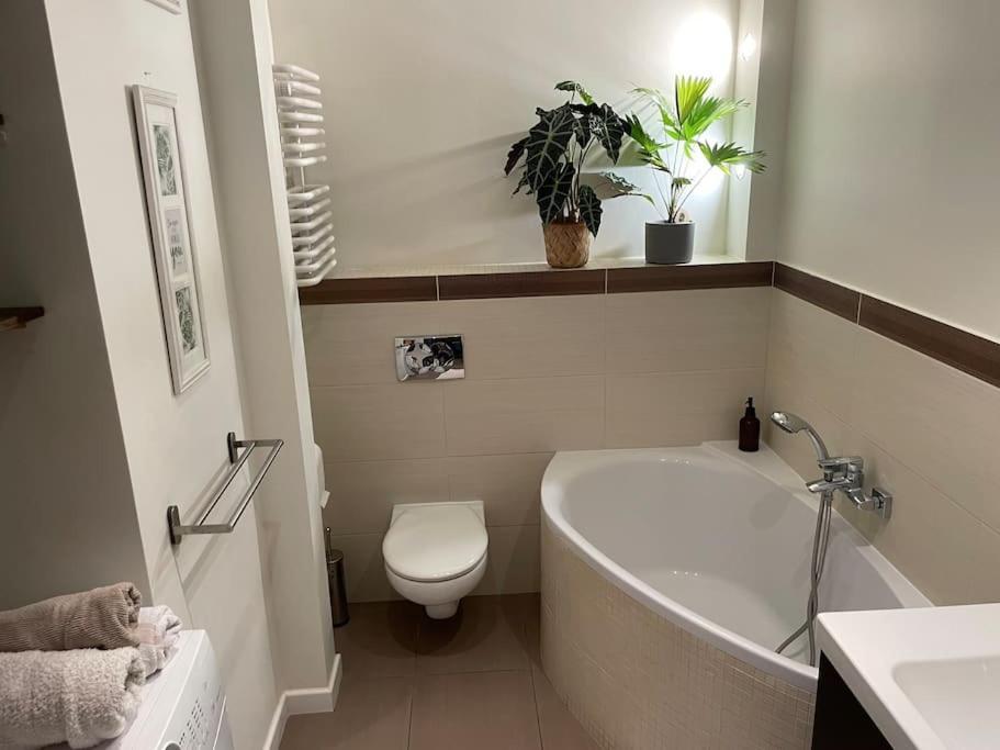Apartament Comfortable In Bielany *