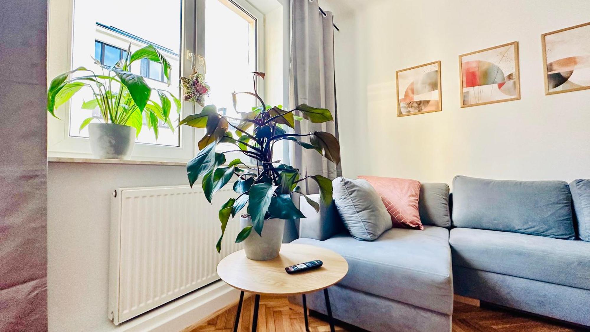 Baja Apartament