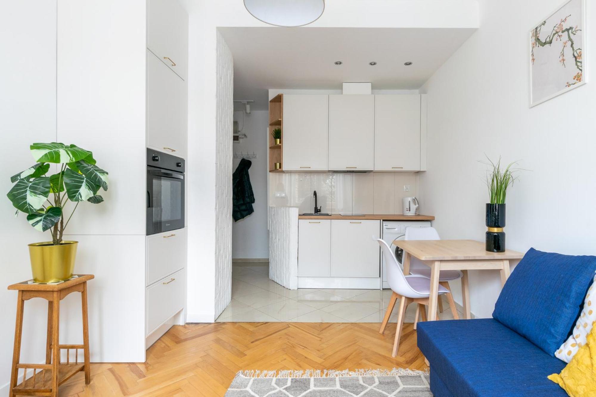 Center Apartament
