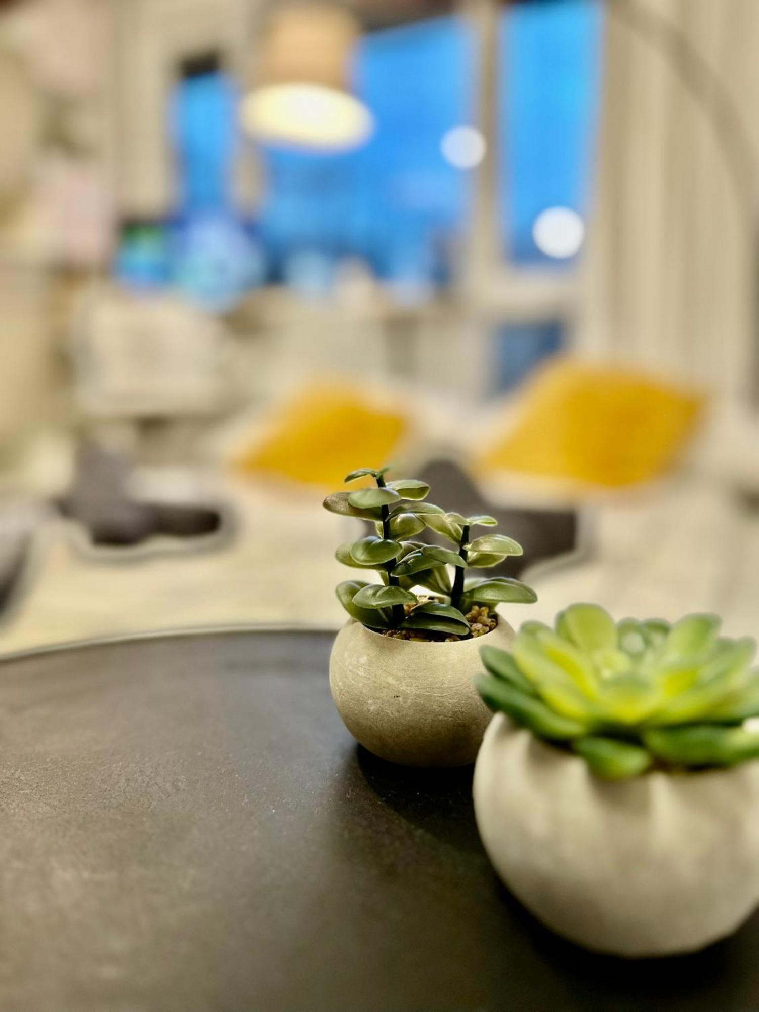 Apartamento Cozy At Park Near City-center +netflix +wifi