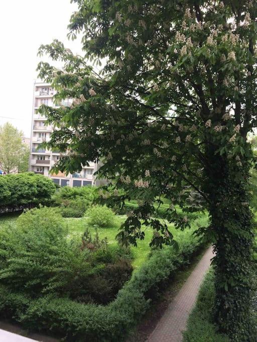 Apartamento Bright And Cozy Near Park, With A Huge Terrace.