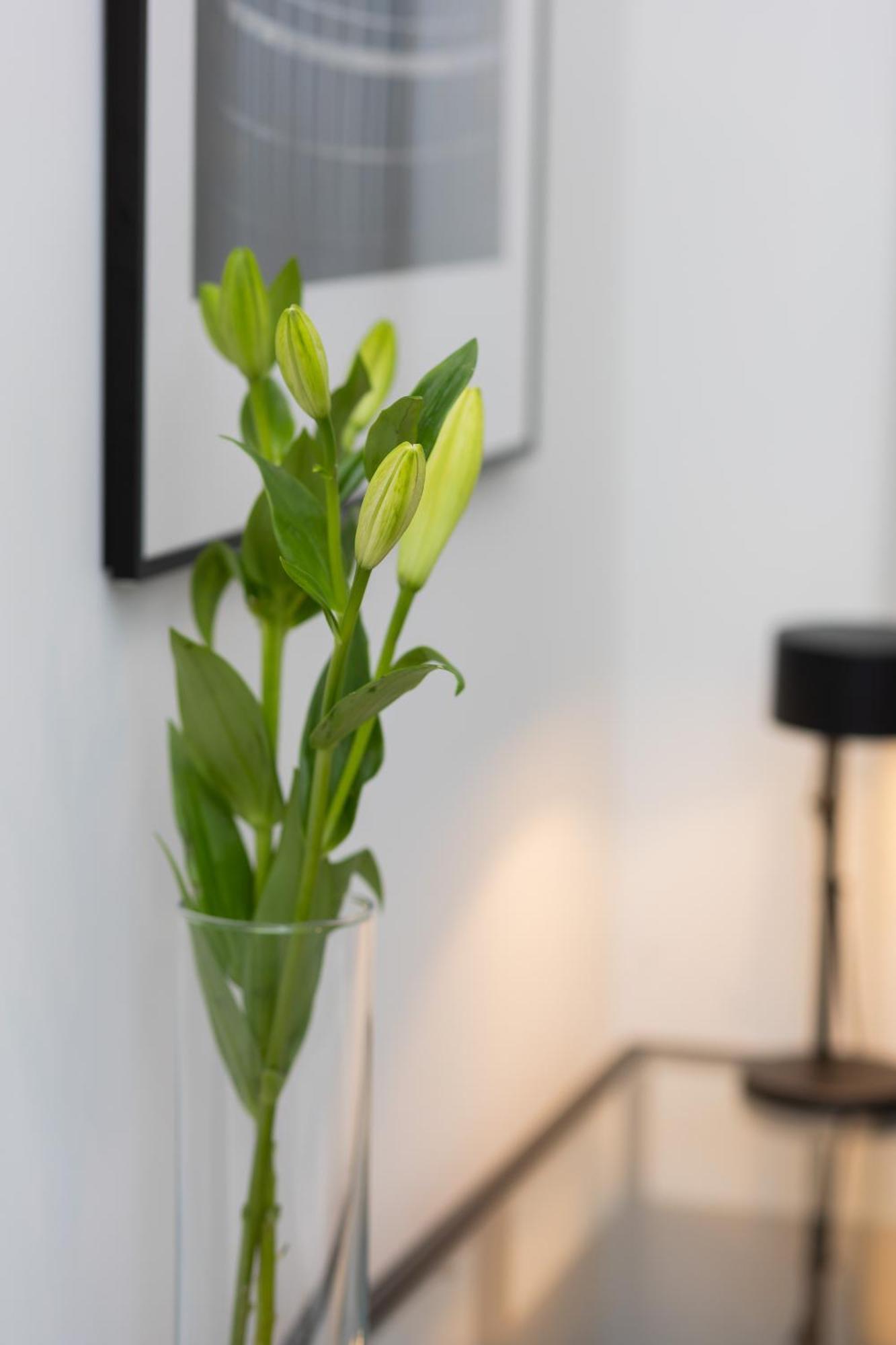 Cosy Dream Center By Renters *