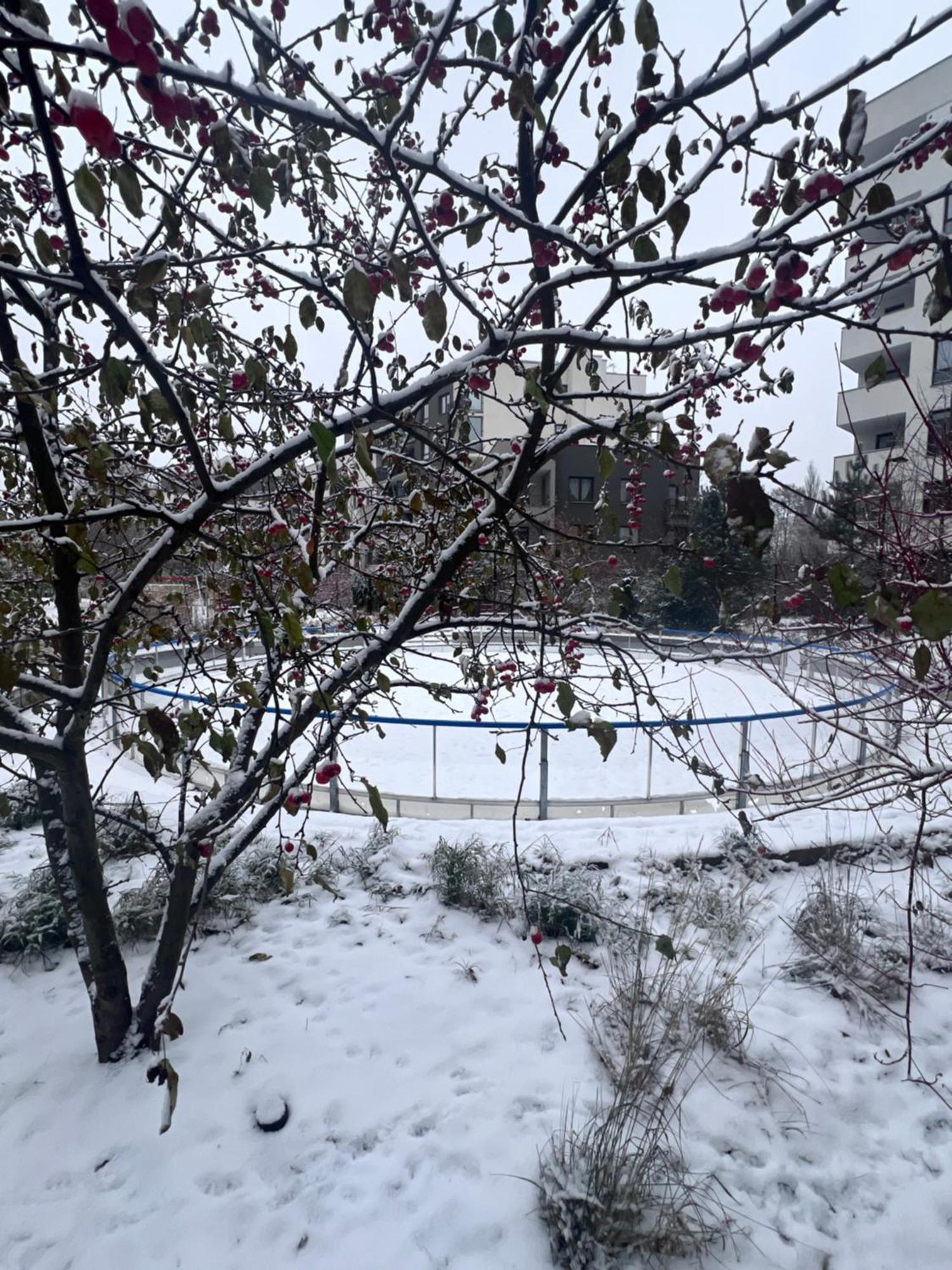 Lake Park Apartament With Free Parking Airport Netflix Apartment