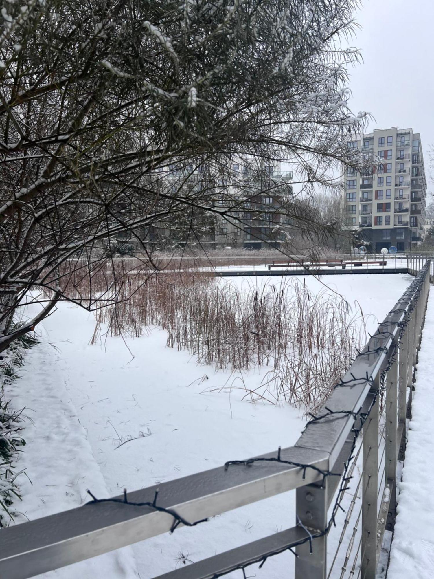 Lake Park Apartament With Free Parking Airport Netflix Apartment Warsaw
