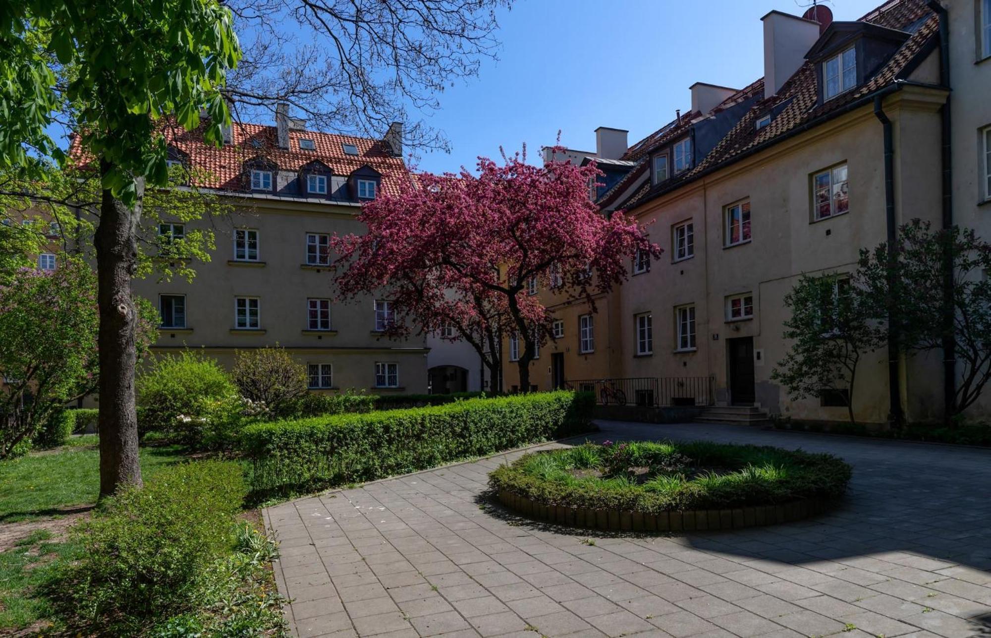 Fashioned Rycerska By Renters