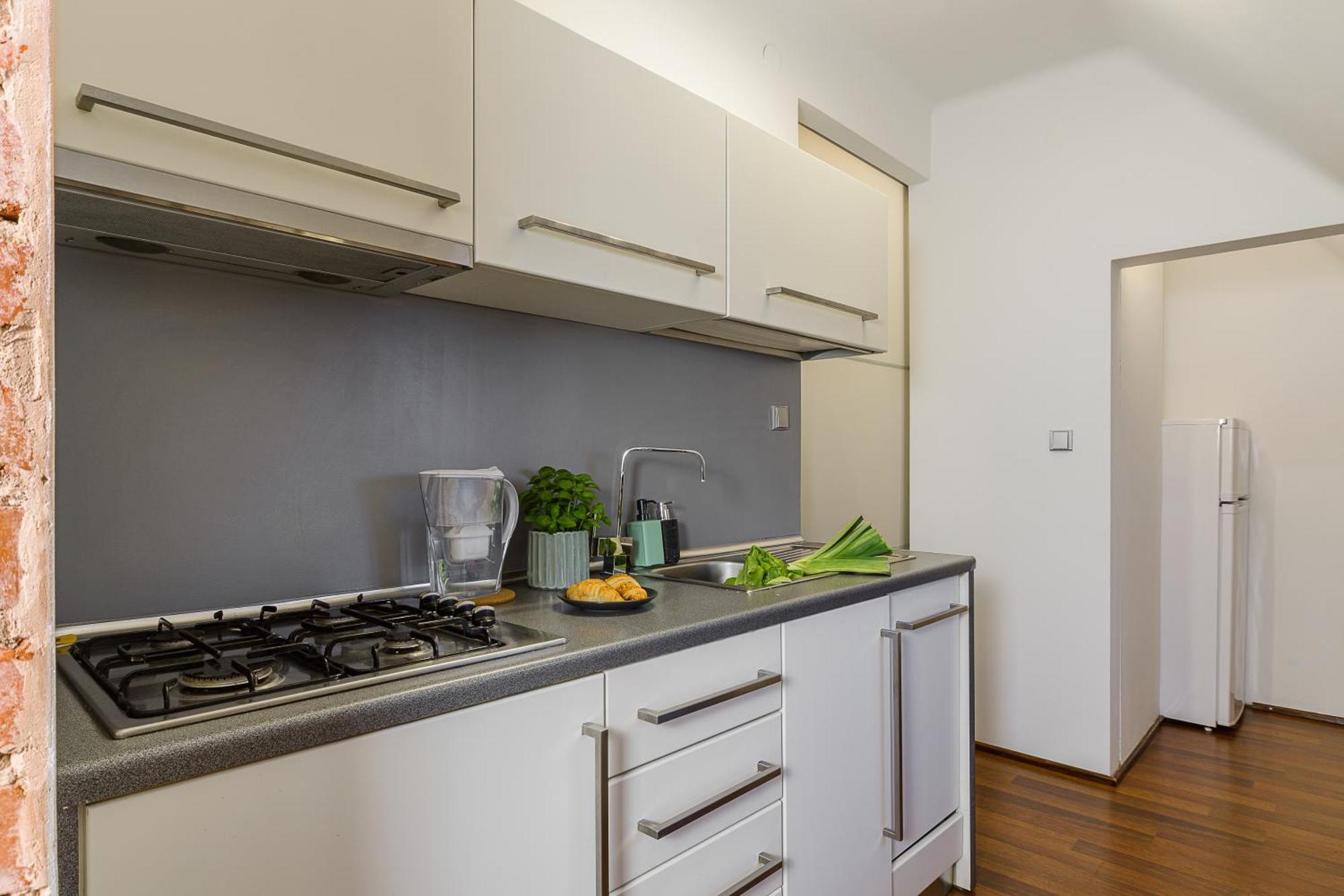 Apartment Lumina 2-level Near Multimedialny Park Fontann