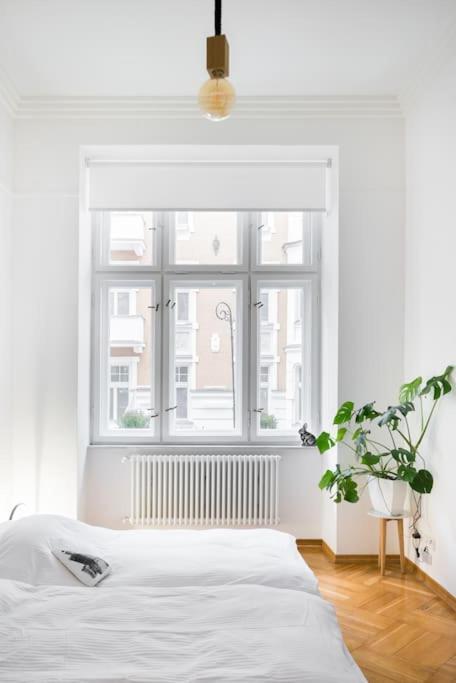 Apartamento Center 110m2