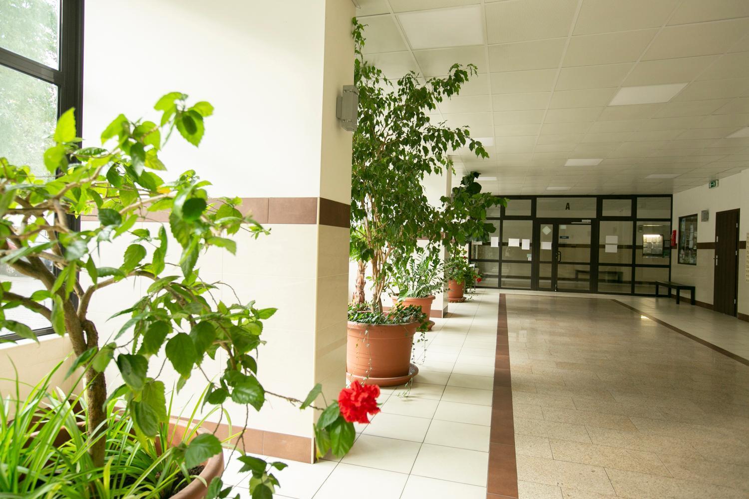 Apartamento Przechodnia 2 Yellow: Free Parking, Work-friendly, Smart Tv *