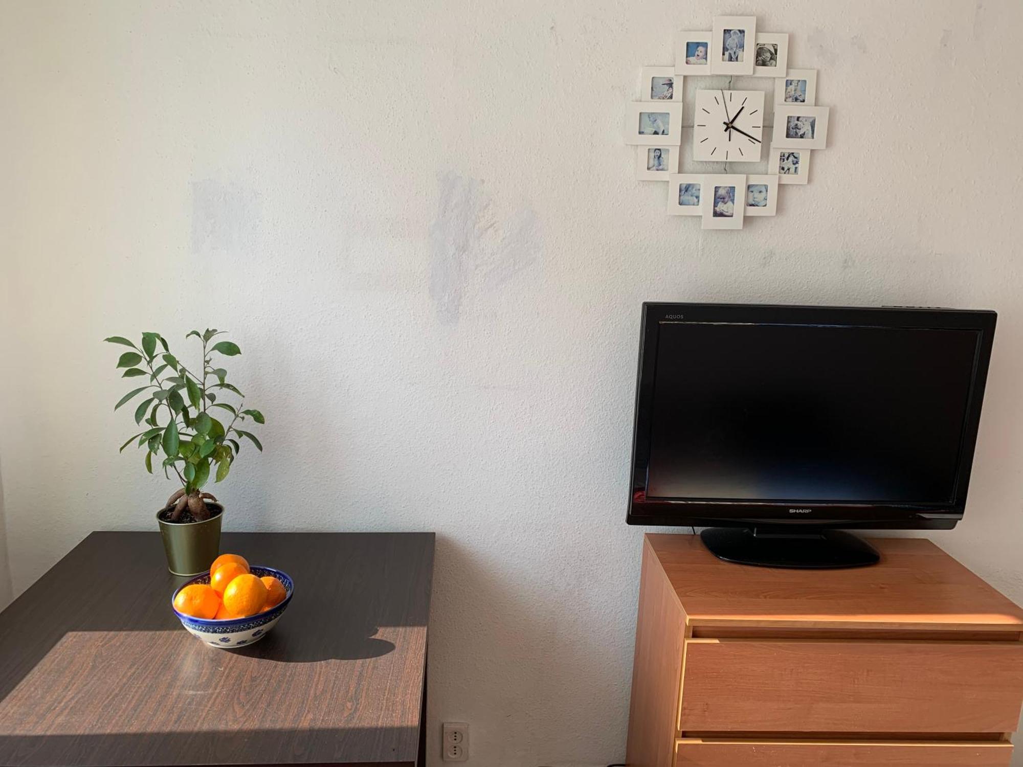 W Wilanowie Homestay Warsaw
