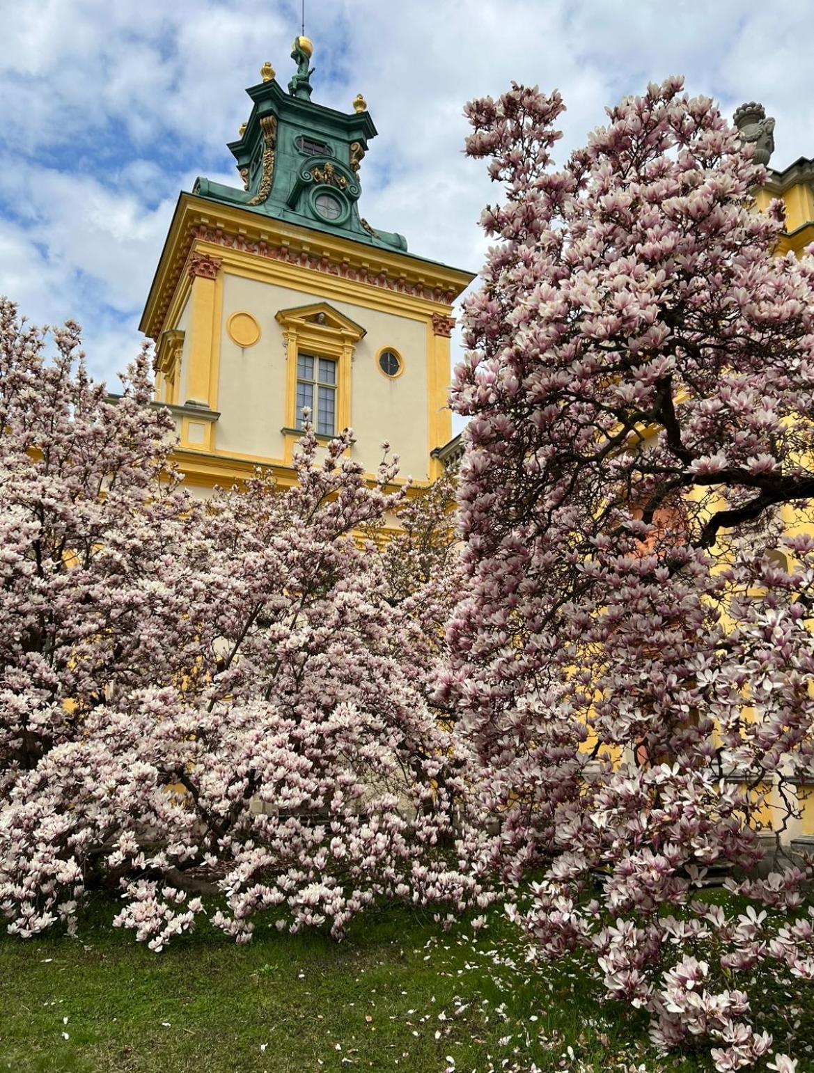 Centrum Konferencyjno-Apartamentowe Mrówka