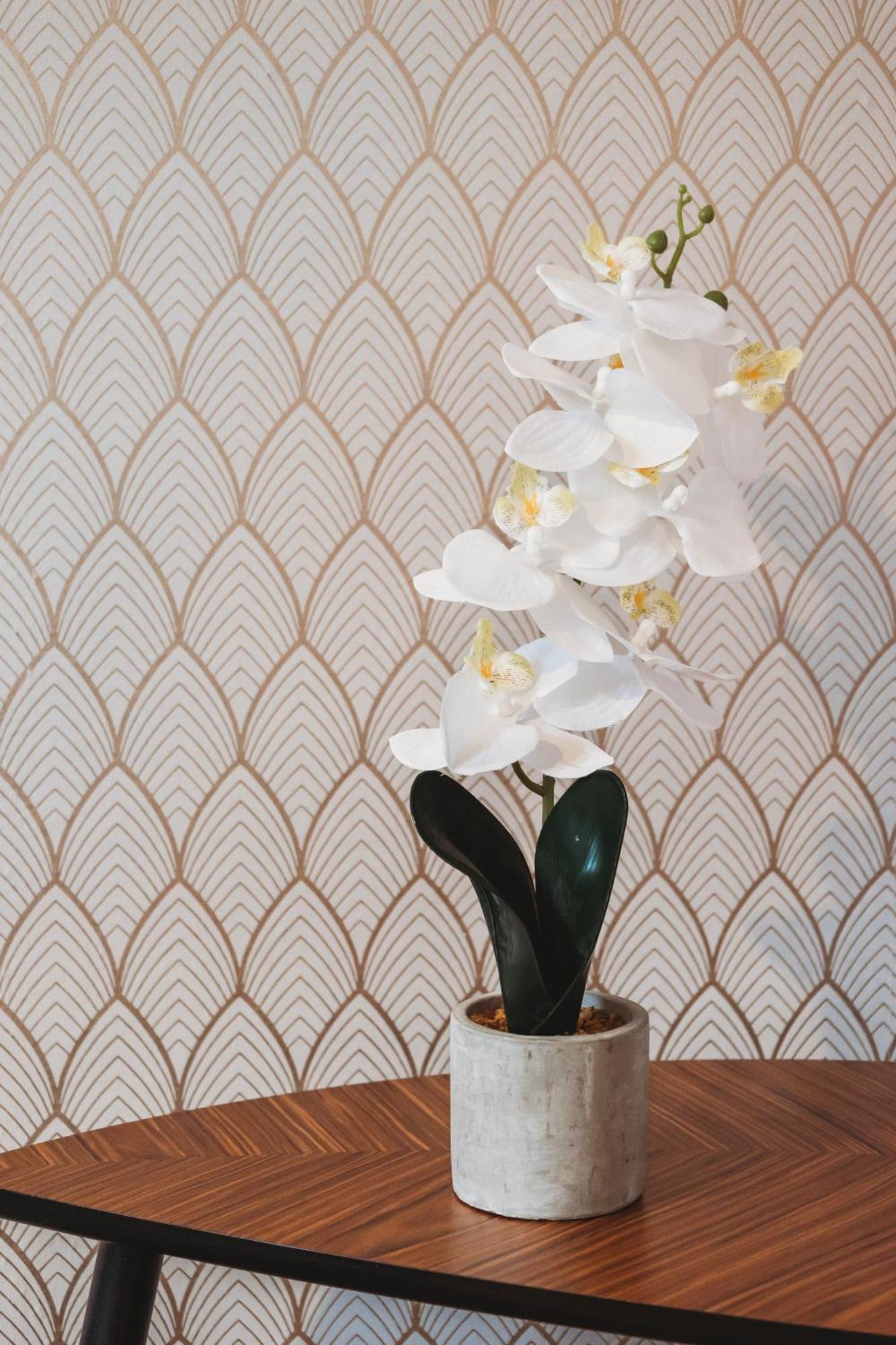 Nhà trọ Clicktheflat Wilcza 35 Center Warsaw