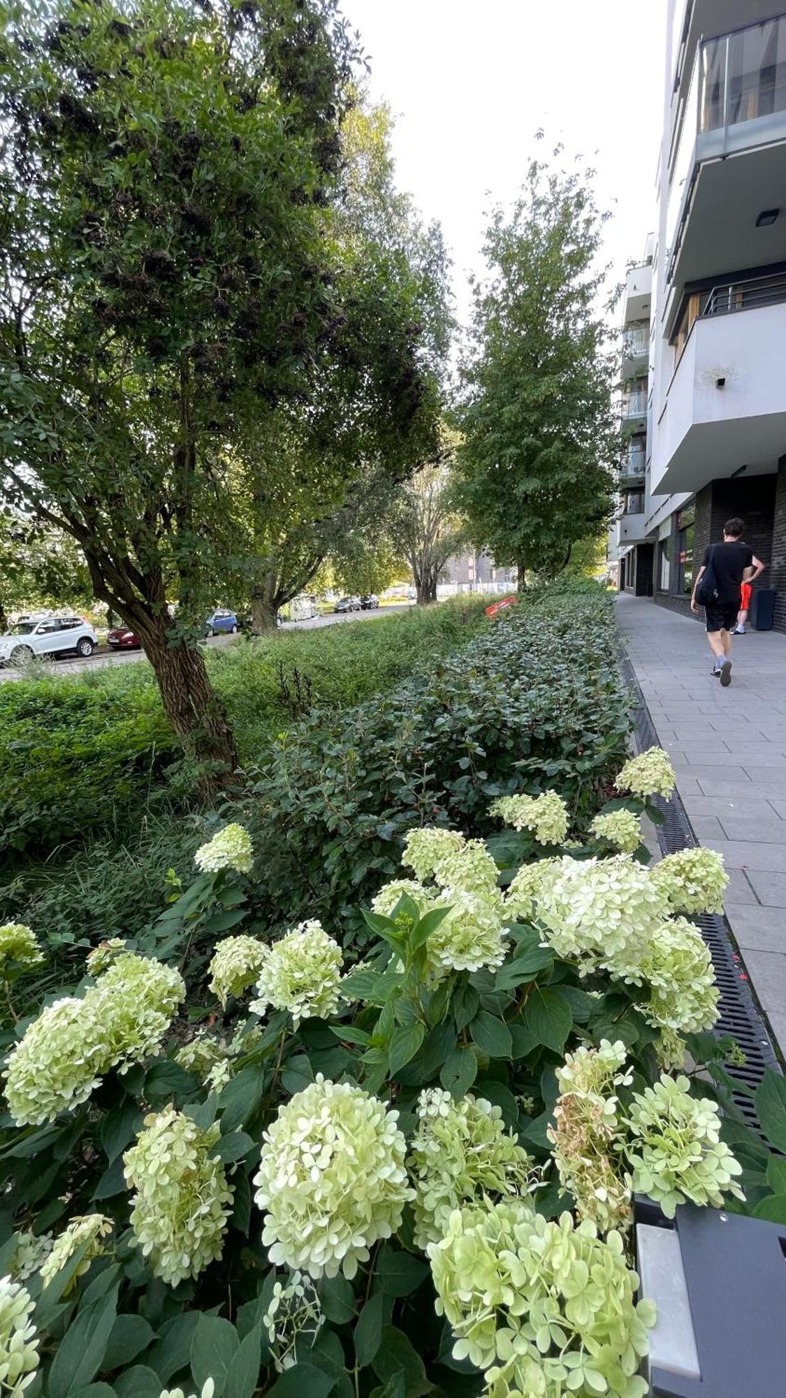 Centrum Wlodarzewska 30 Apartamento Varsóvia