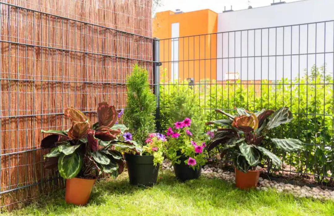 Luxapartmentwarszawa Z Bezplatnym Podziemnym Parkingem Apartment *
