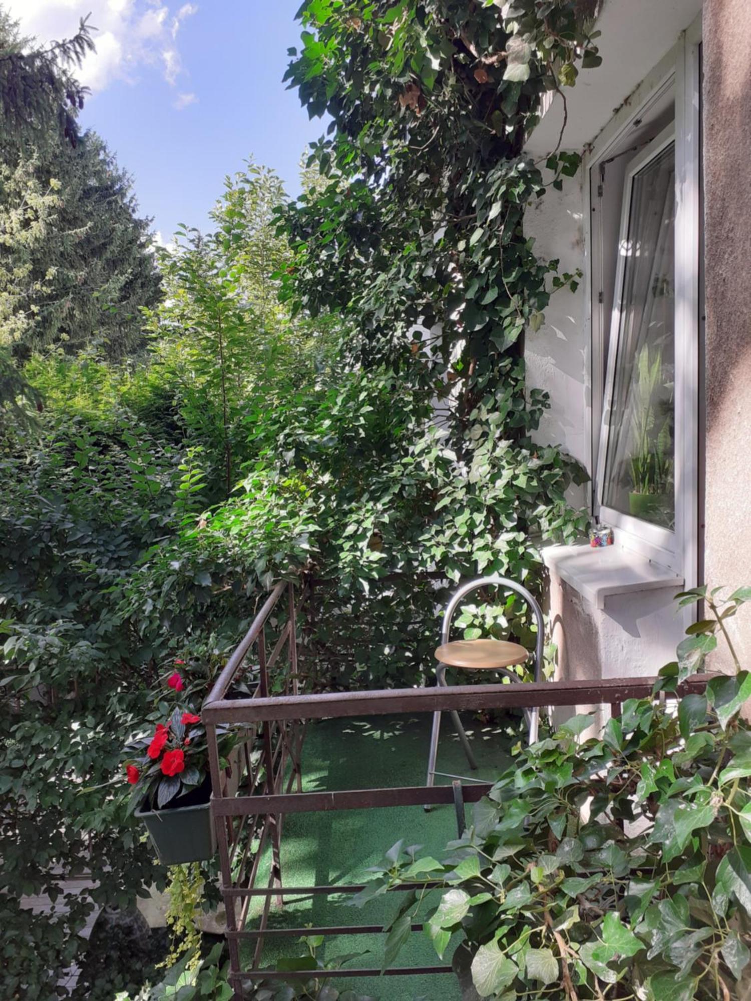 Homestay Animrumru Warsaw