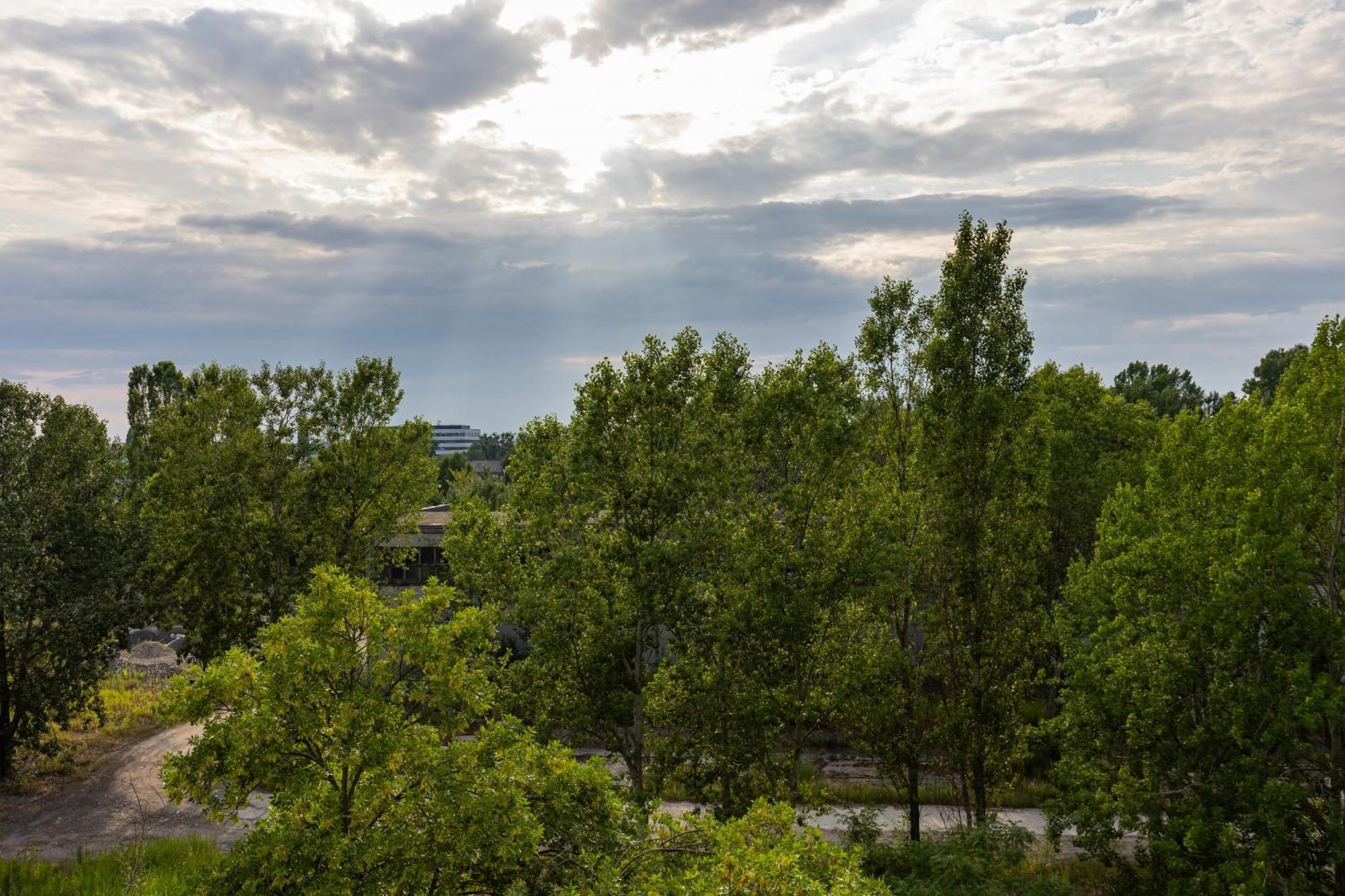 Urban Wings - Airport With Parking & Balcony By Renters *