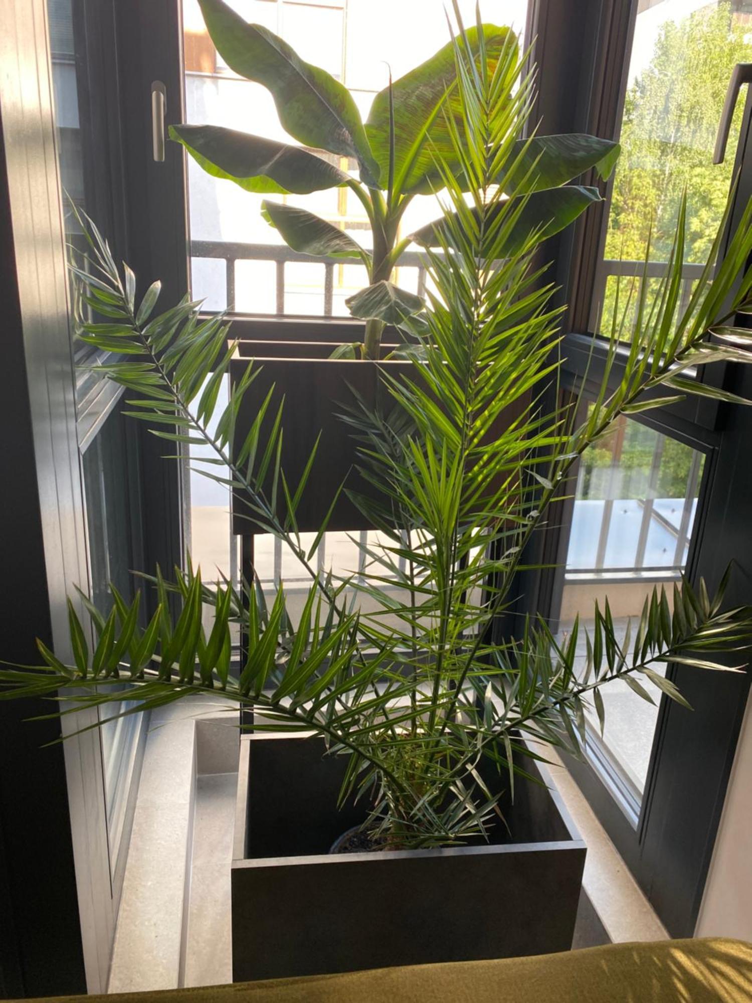 Apartament Mokoconcept