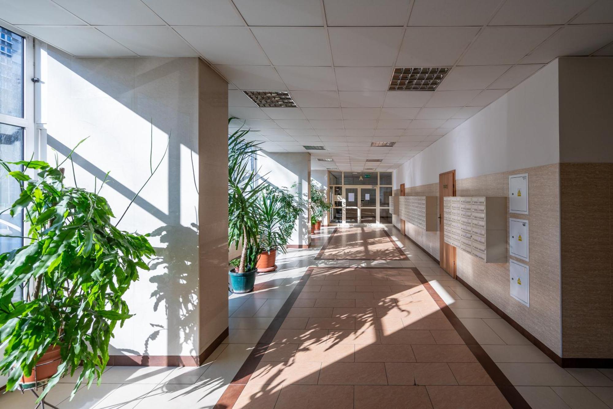 Grzybowska Blue Centre Apartment