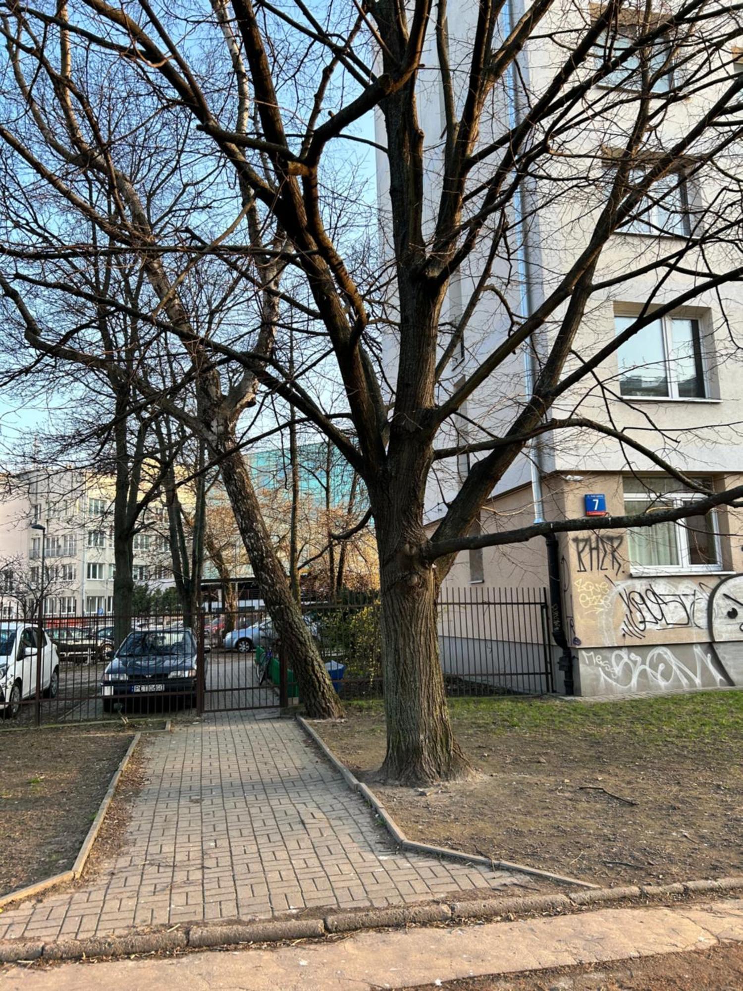 Marszalkowska Apartment