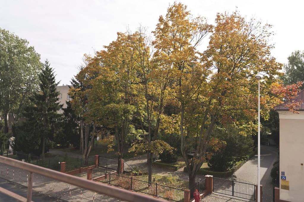 Apartamento Will - In The Heart Of *