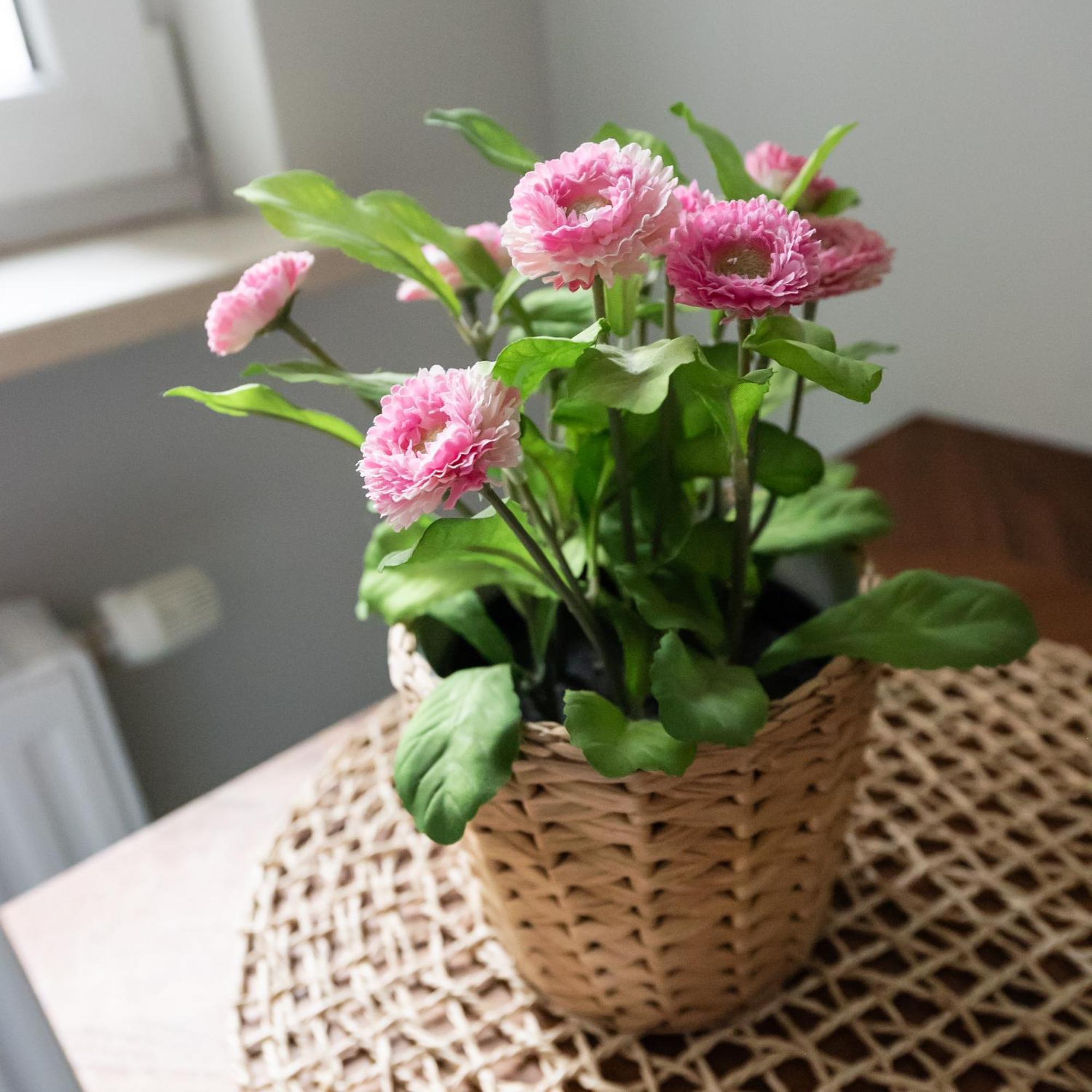 Apartamento Bemowo Lazurowa Comfort