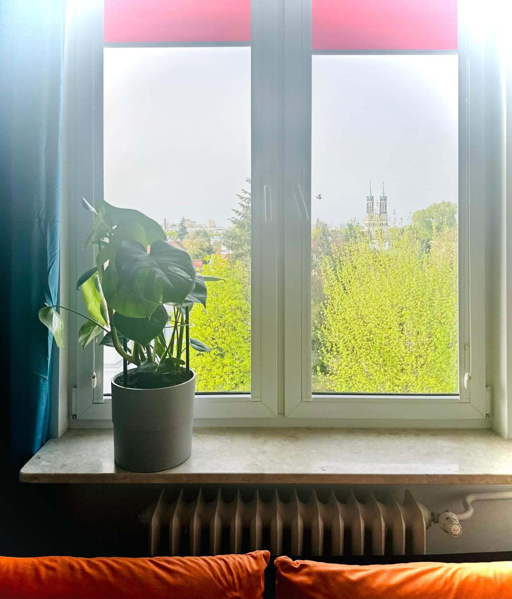 Apartment Green&comfy Zoliborz Warsaw
