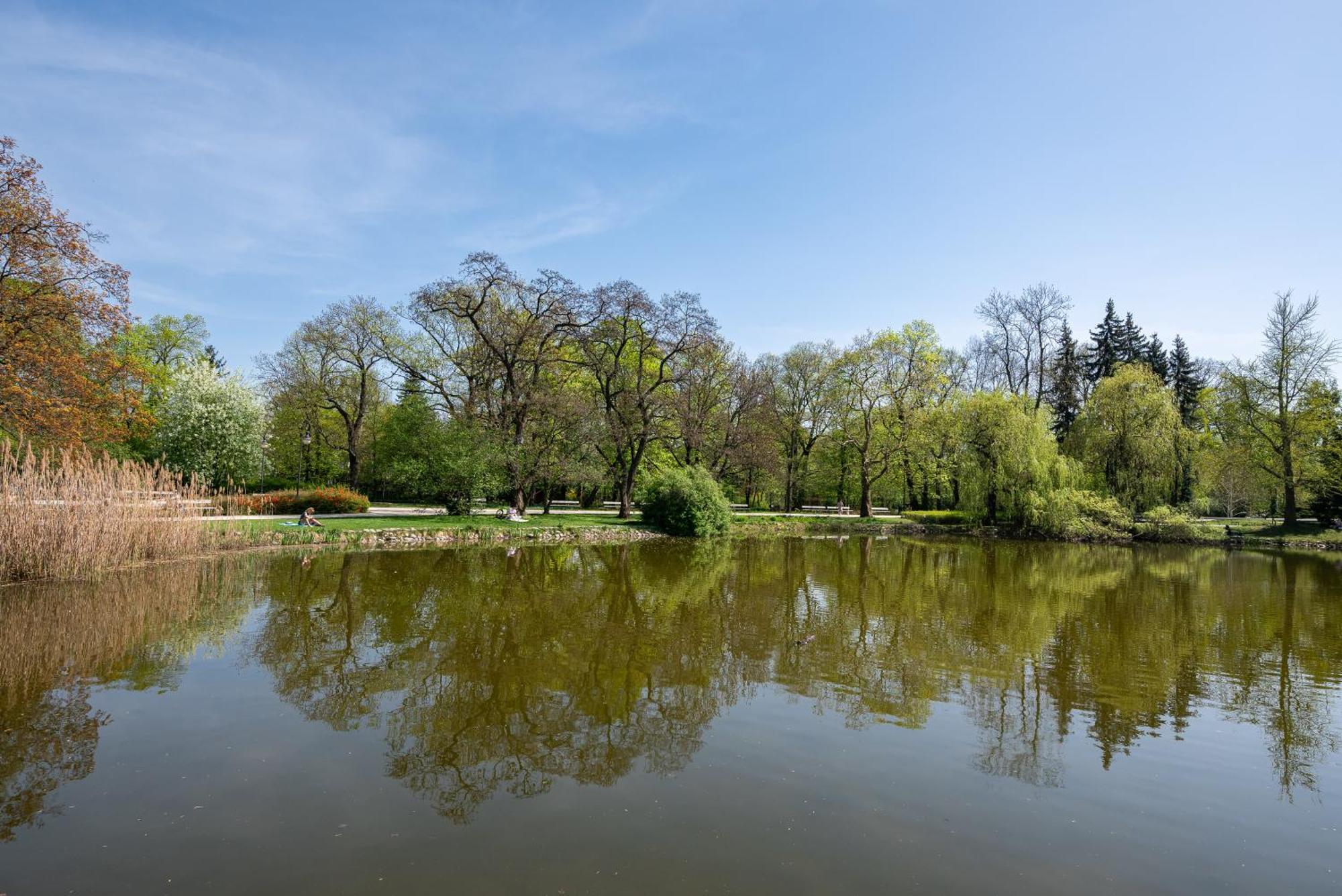 Piekna 2-bedroom Căn hộ Warsaw
