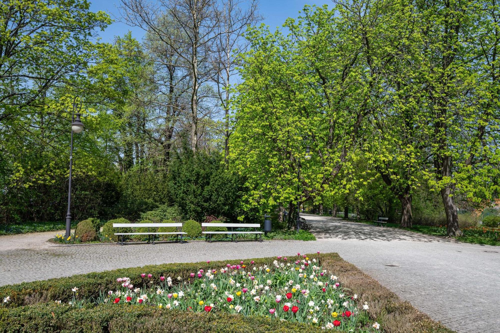 Piekna 2-bedroom Căn hộ Warsaw
