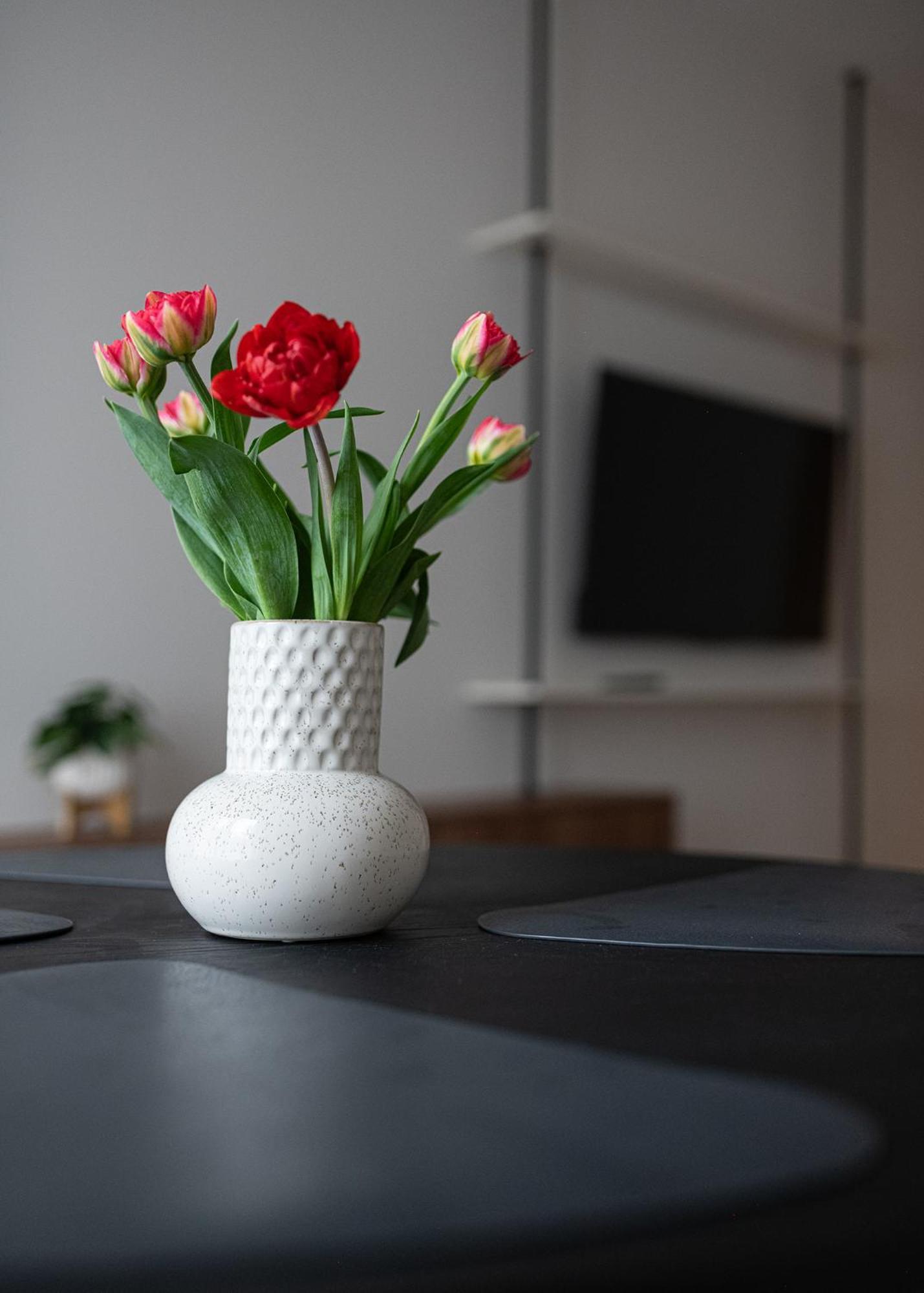 Apartamento Mlynow