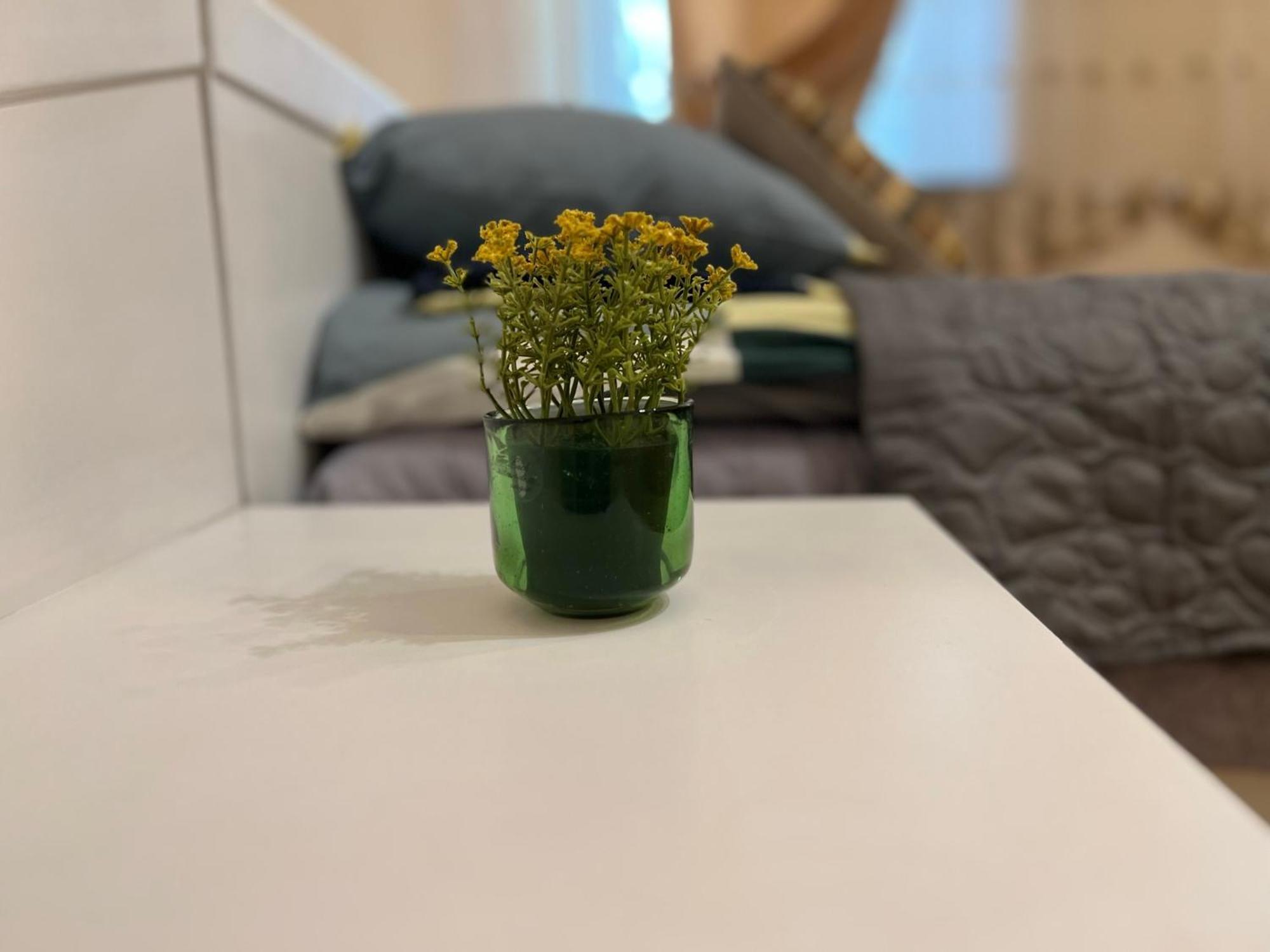 Apartament Cozy In The Centre Of Warszawa