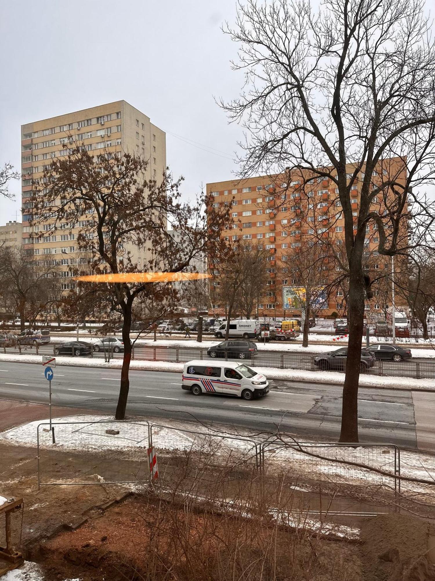 Przy Lazienkach Krolewskich Warszawa