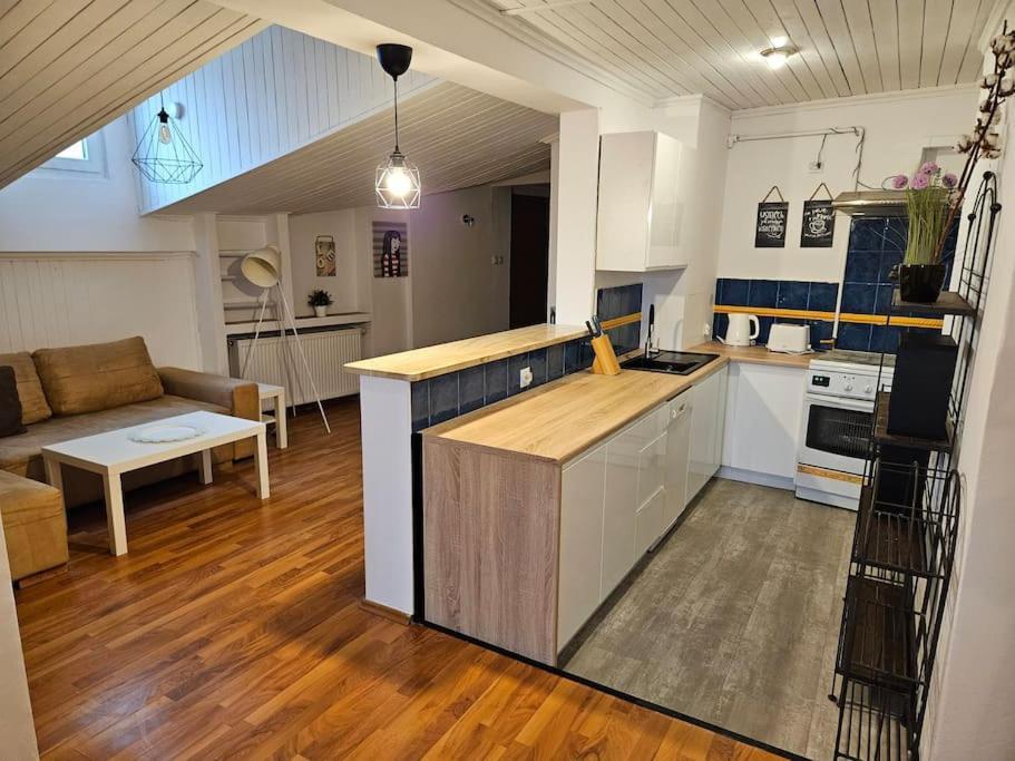 Apartment Przestronny Z Szybkim Wifi