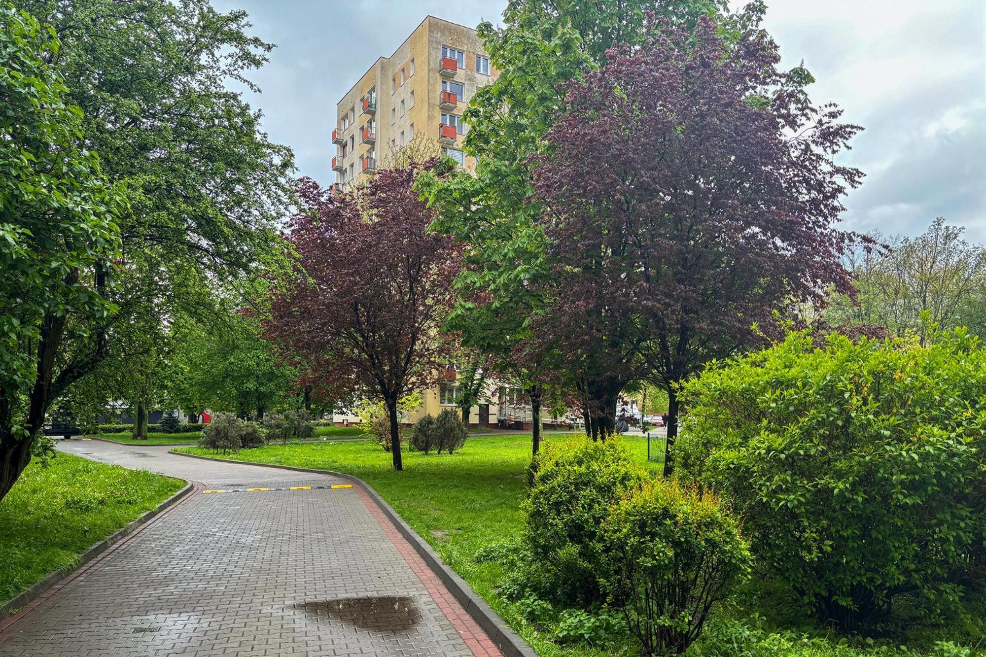 Rentplanet - Miedzynarodowa Warszawa