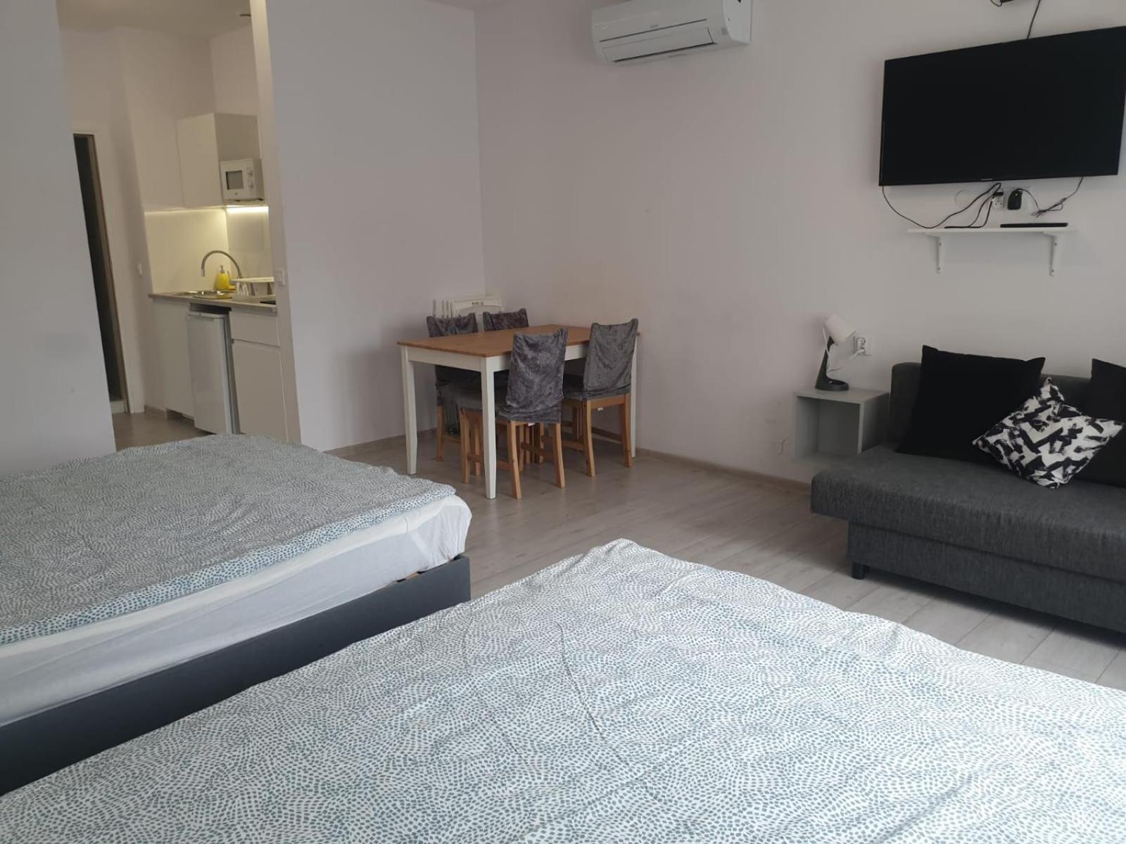 Apartment Smolna 11