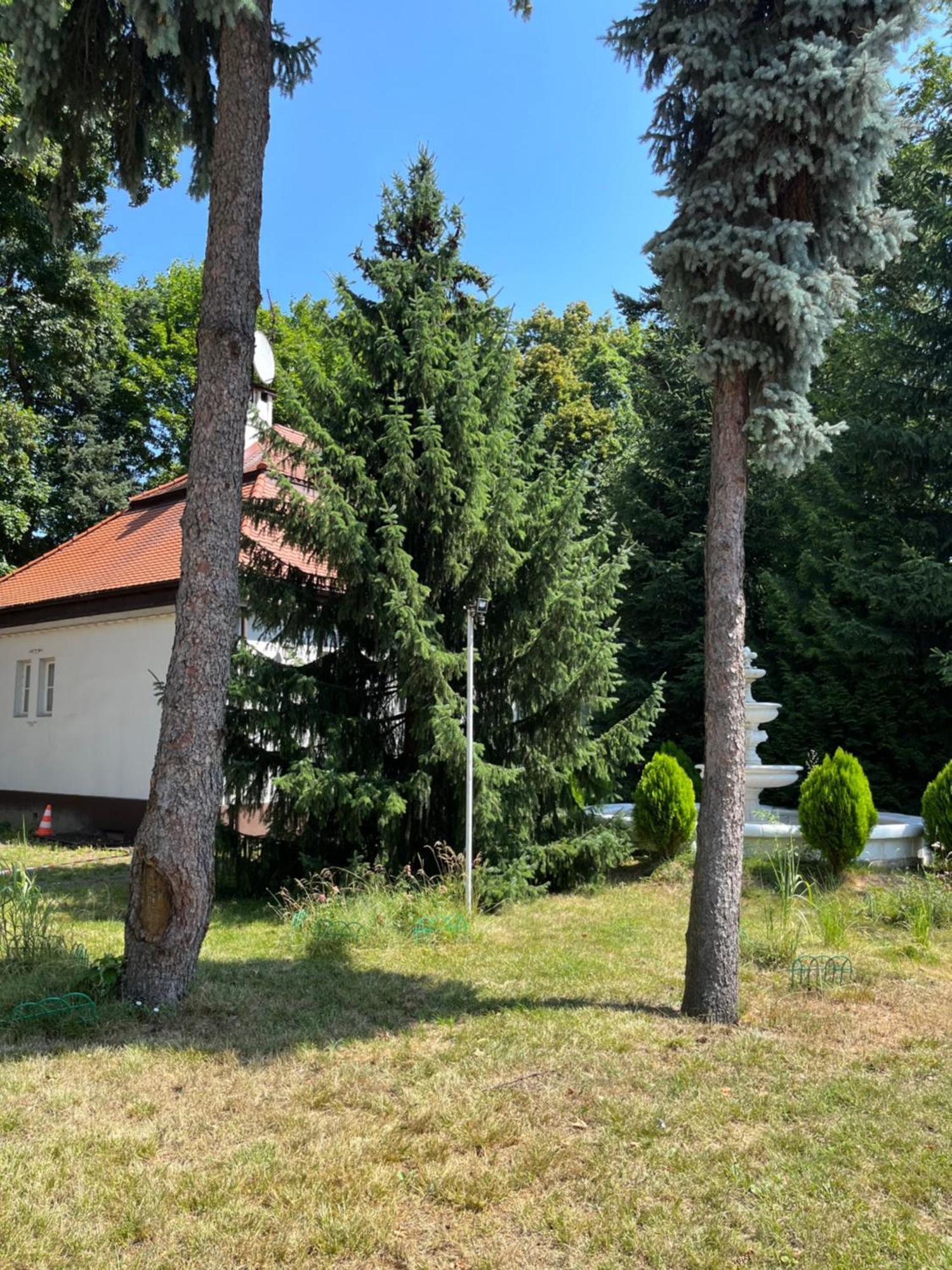 Dedek Park - Historyczny Dworek W Pieknym Parku Skaryszewskim Obok Stadionu Narodowego 3*