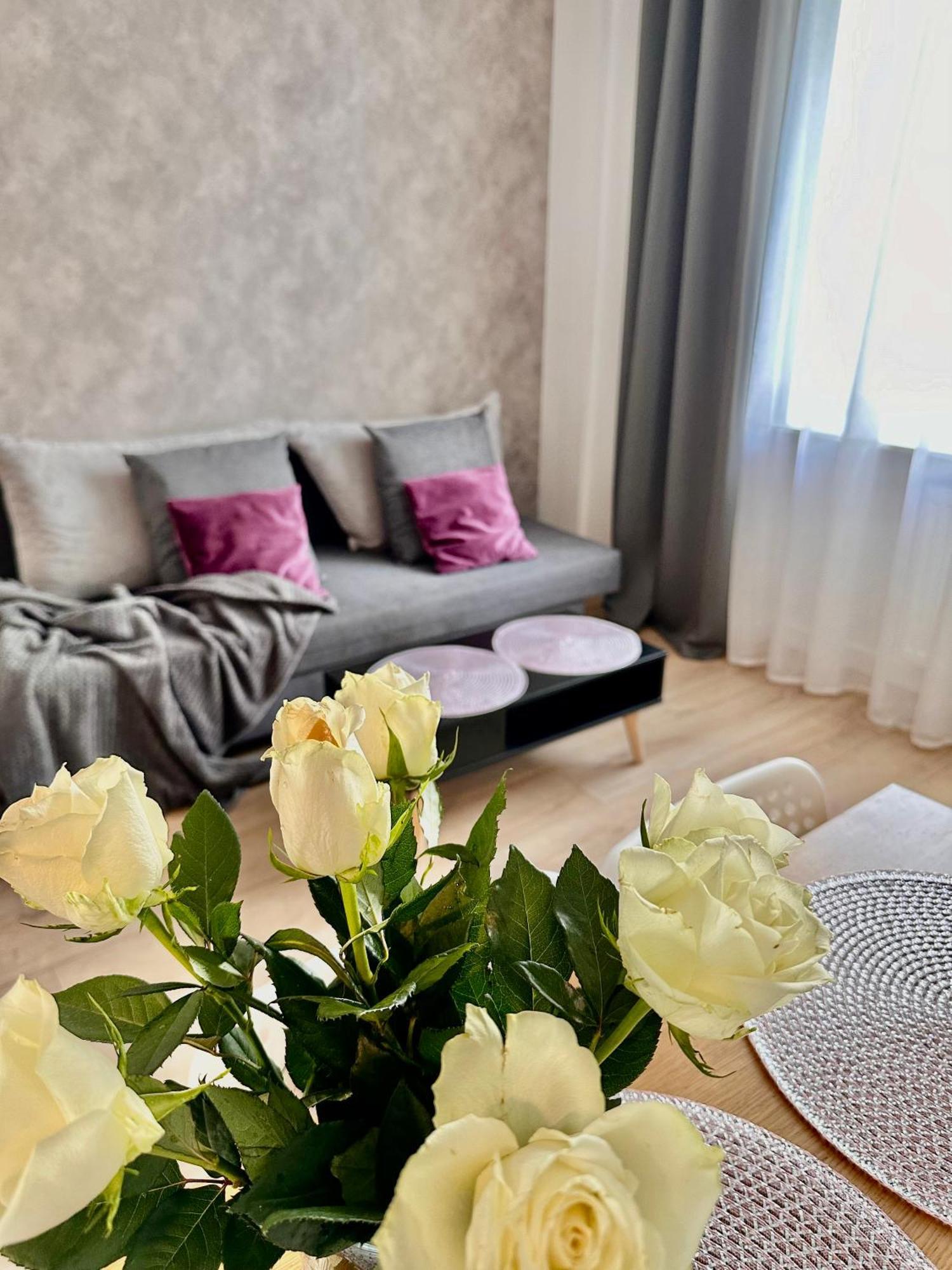 Place 2 Apartment